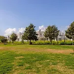 Mythical Sands Al14 *